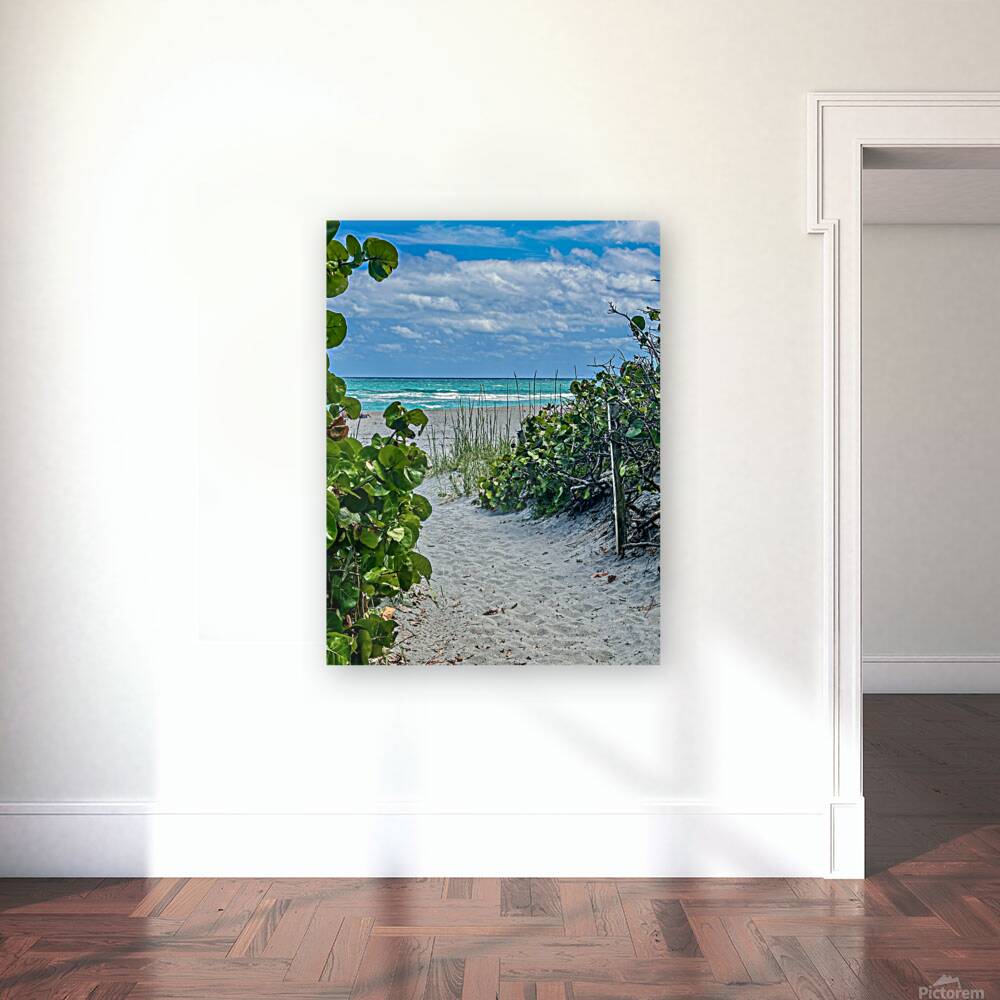 Beach Access   61 Reproduction