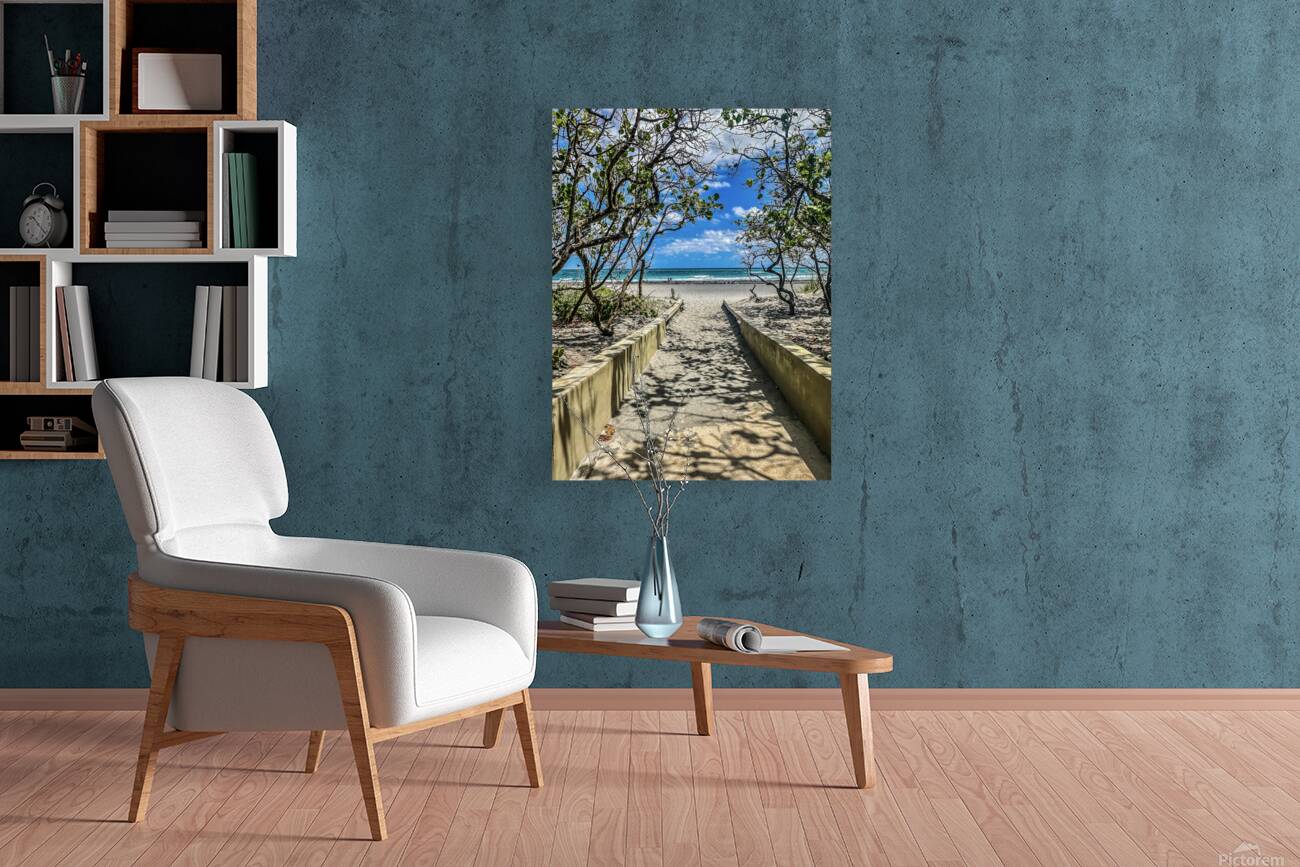 Beach Access   63 Reproduction