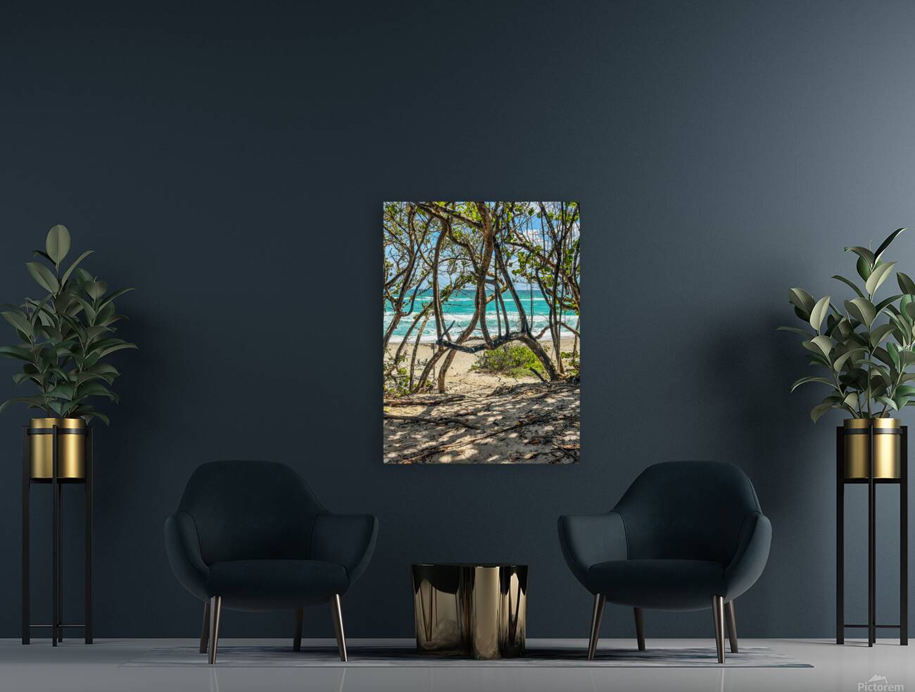 Beach Access   38 Reproduction