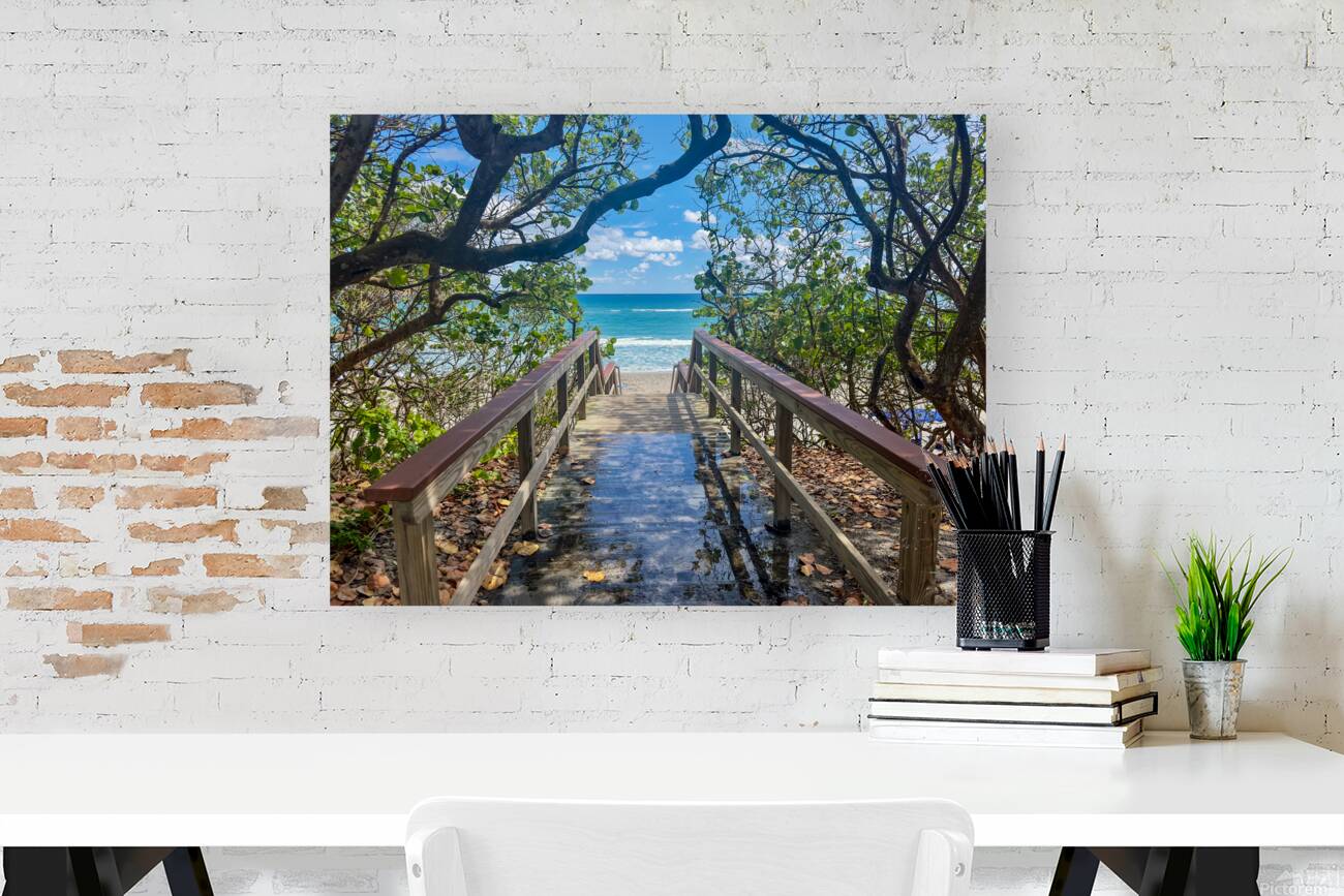 Beach Access   35 Reproduction