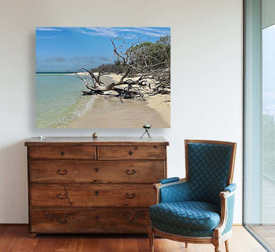 Boca Grande FL III Reproduction