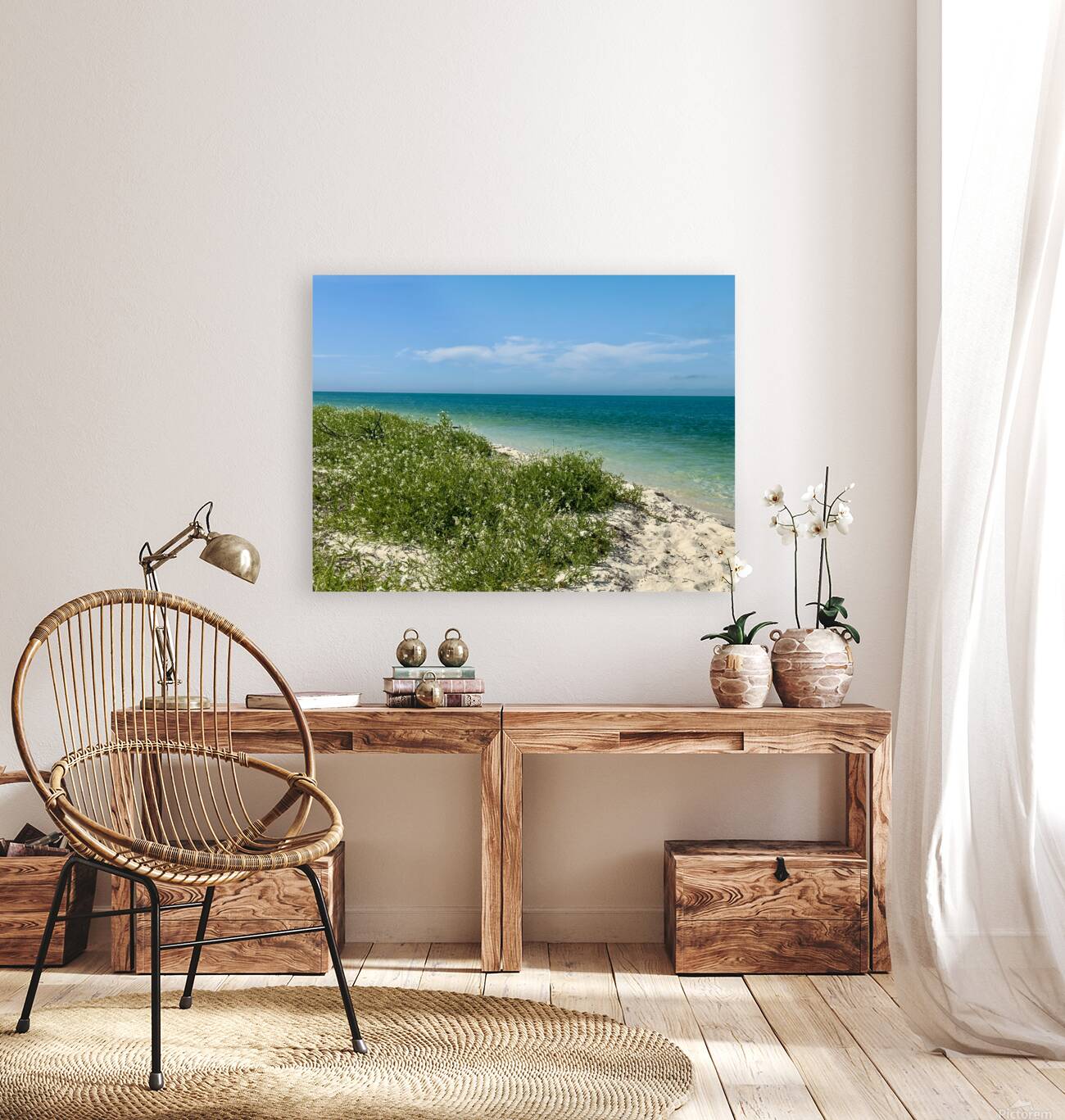 Boca Grande FL Reproduction
