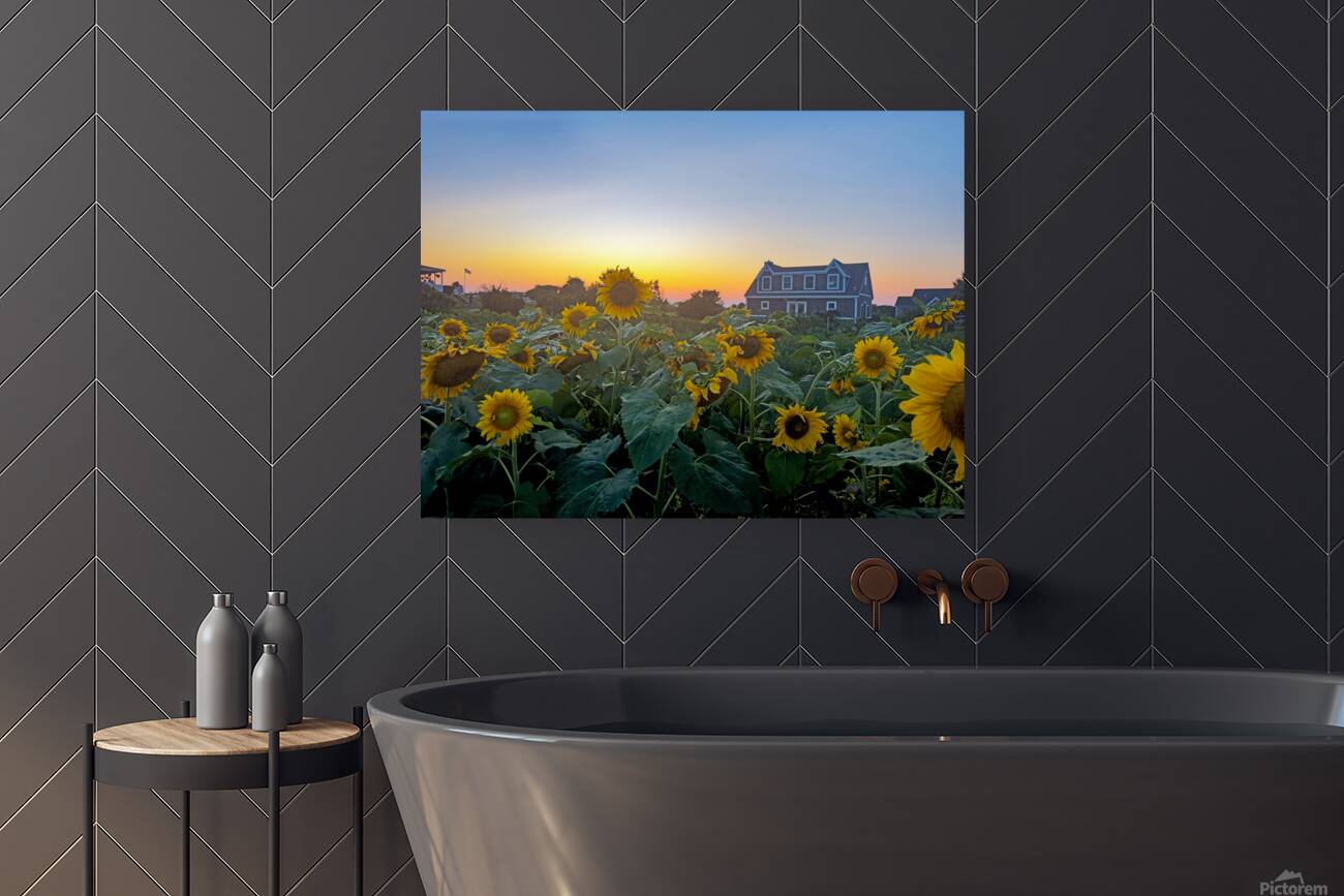 Sun Flowers Reproduction