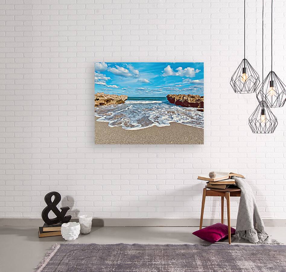 CoralCove1 Reproduction