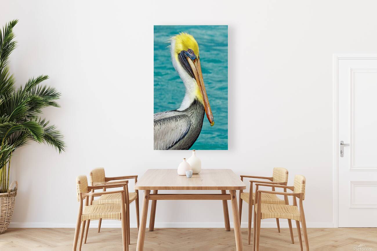 Pelican I Reproduction