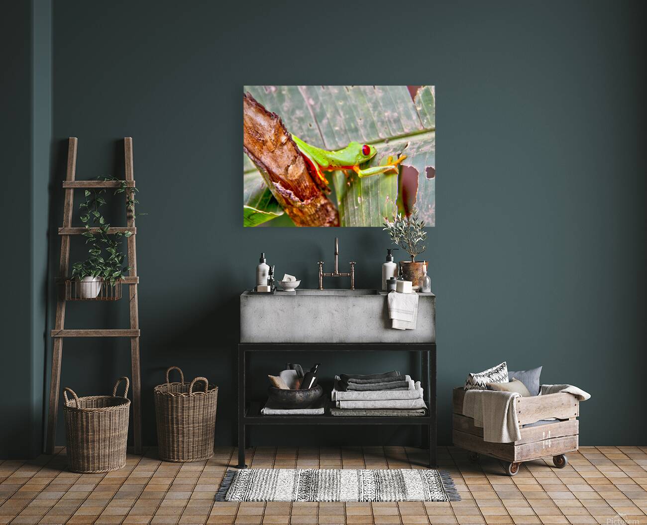 Green Frog Reproduction