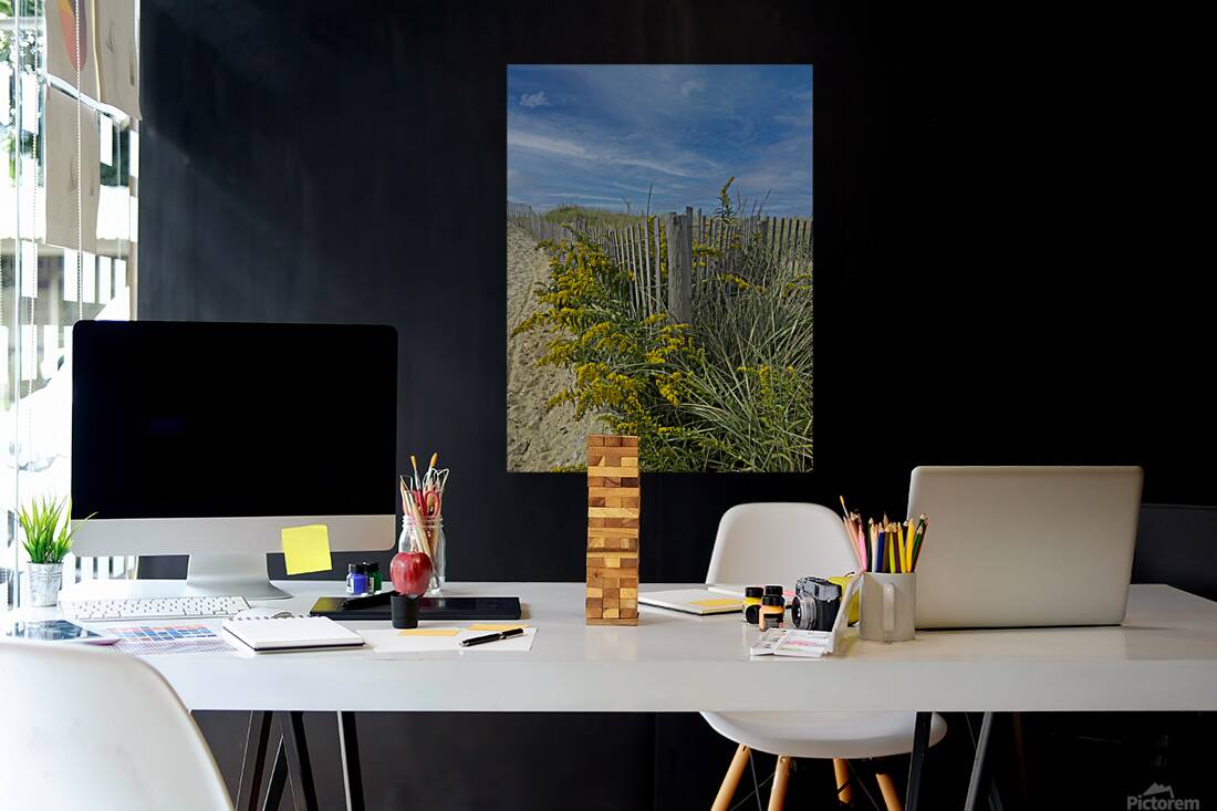 Beach Grass Reproduction