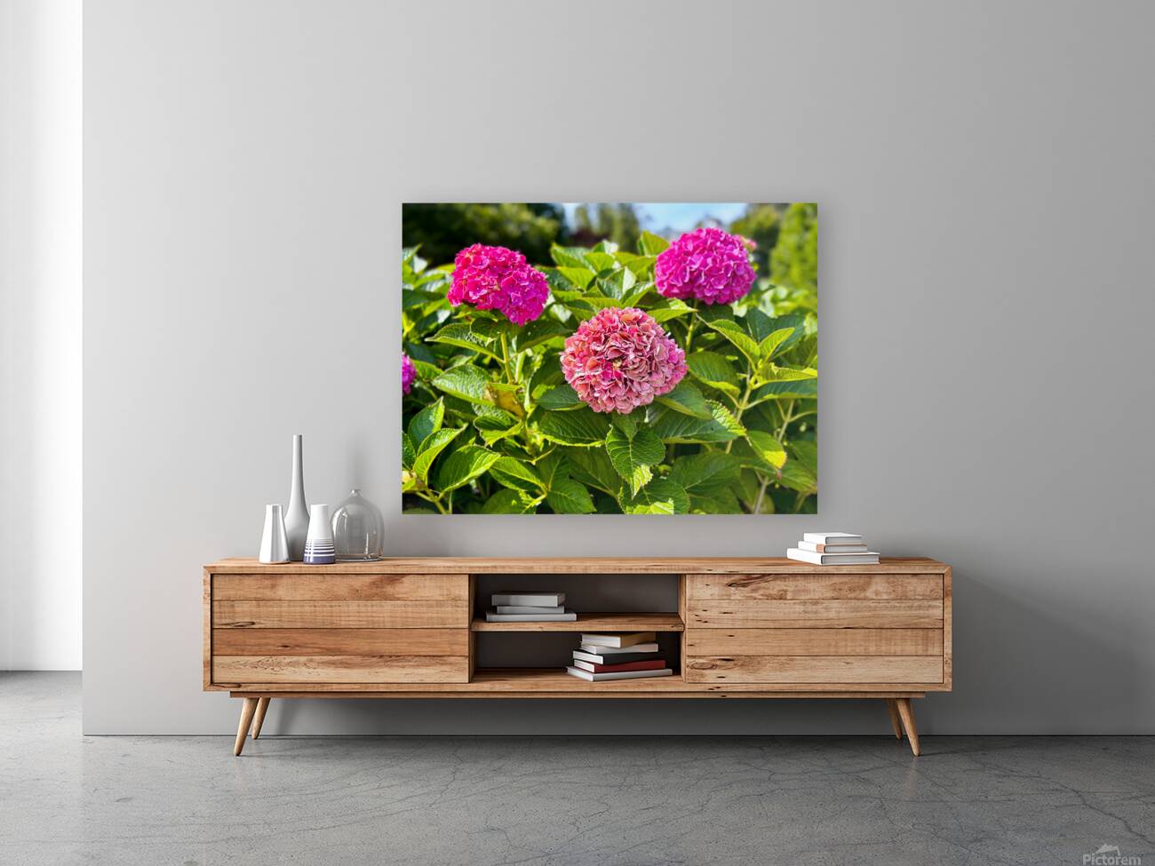 Pink Hydrangea Reproduction