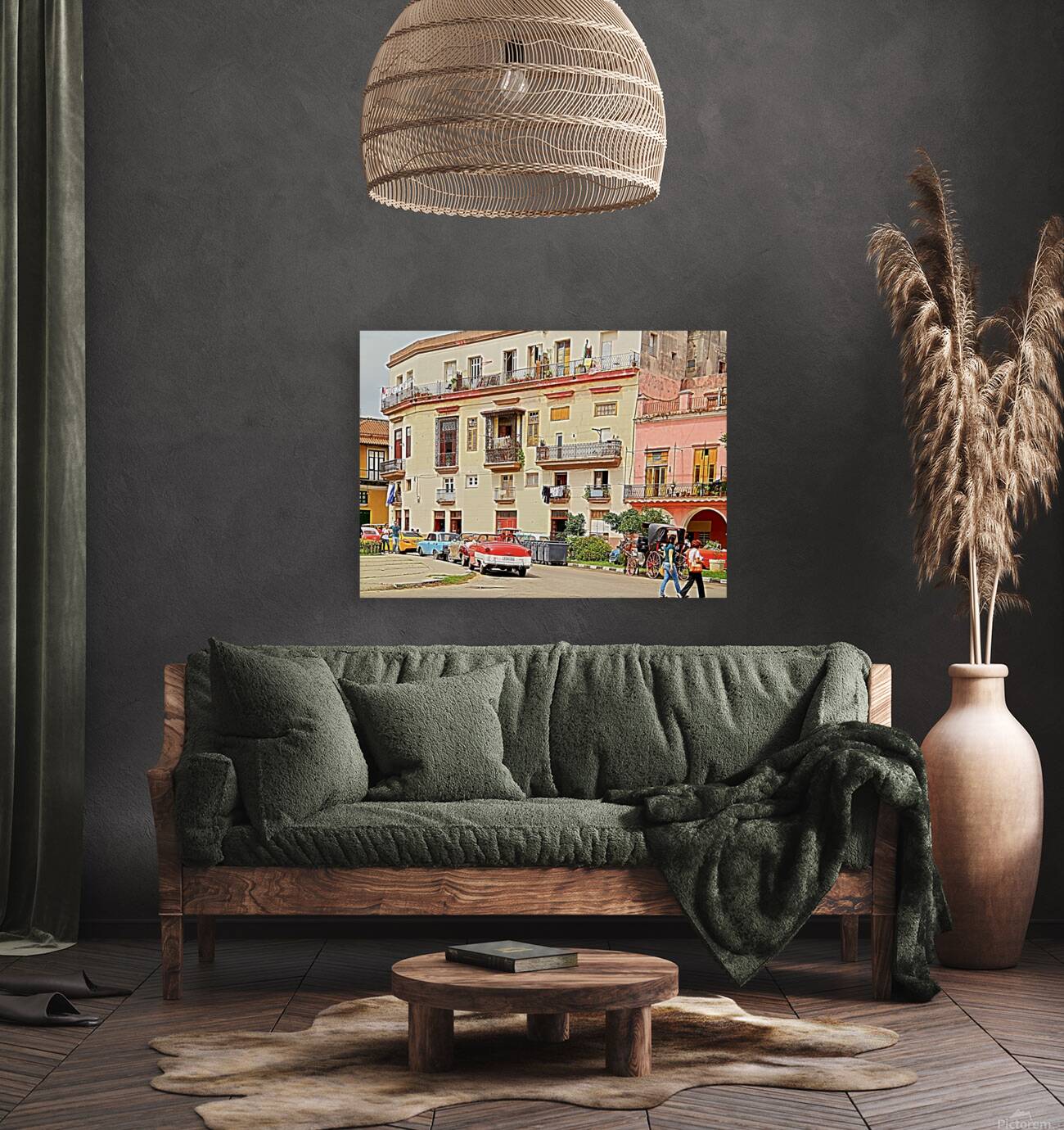 Cuba III Reproduction