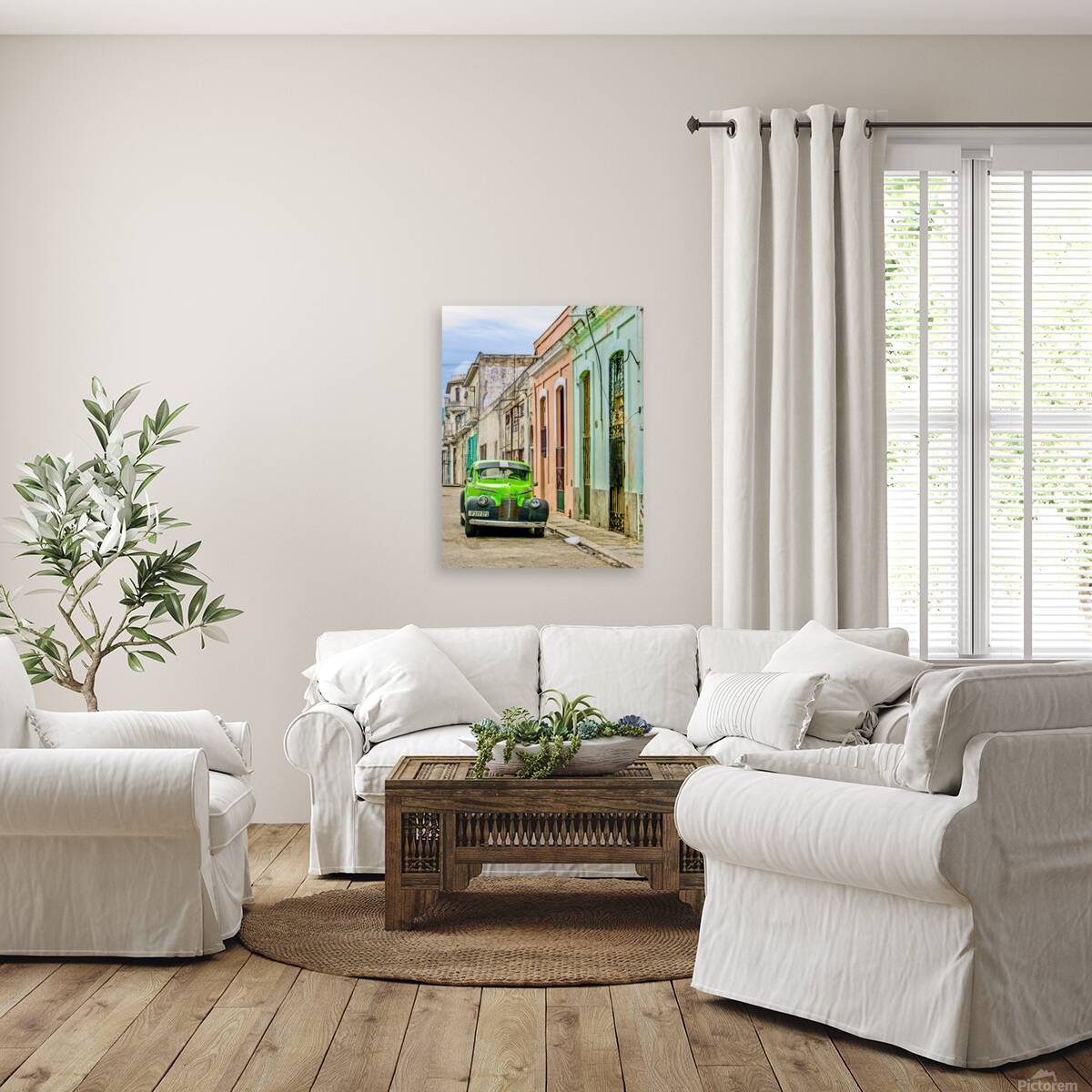 Cuba I Reproduction