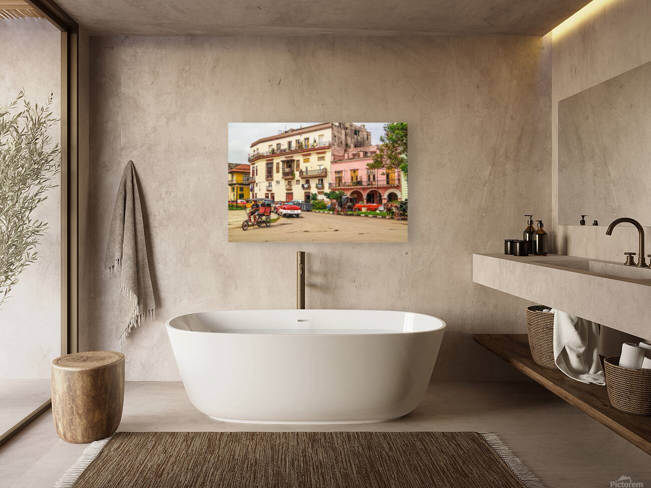 Cuba VIII Reproduction