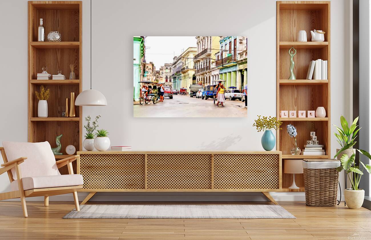 Havana Reproduction