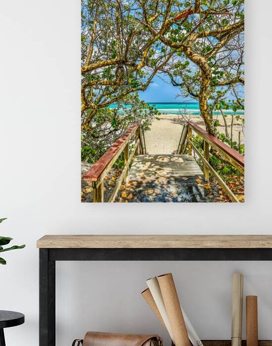 Beach Access  57 by JANIce