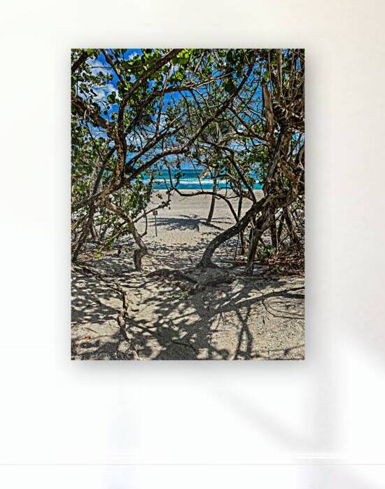 Beach Access   55 by JANIce
