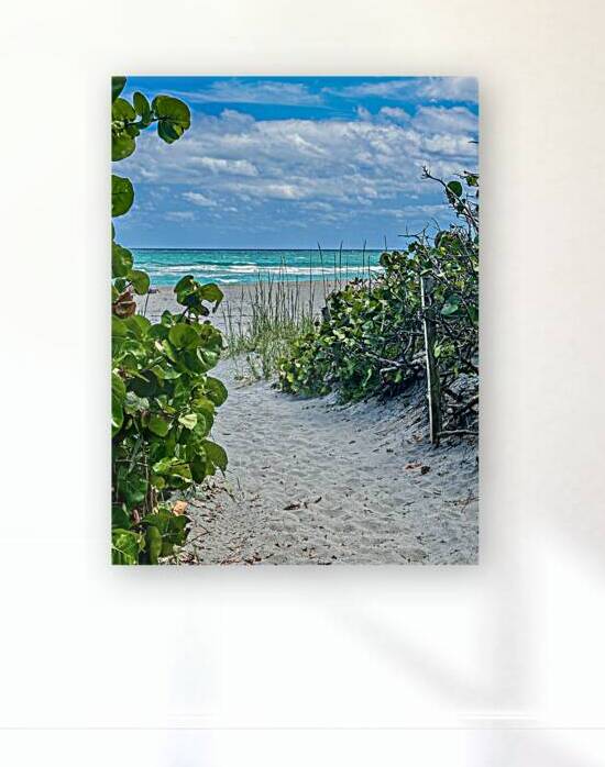 Beach Access   61 by JANIce