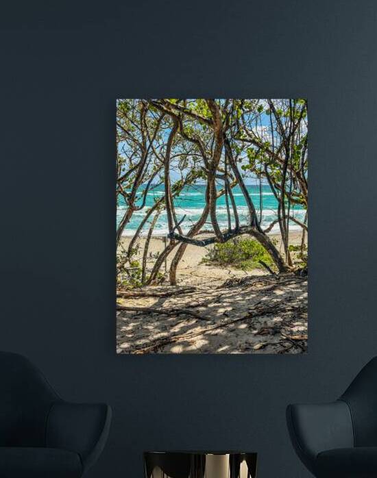 Beach Access   38 by JANIce