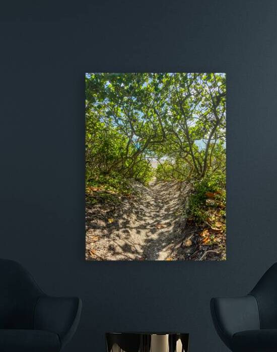 Beach Access   34 by JANIce