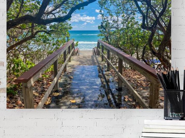 Beach Access   35 by JANIce