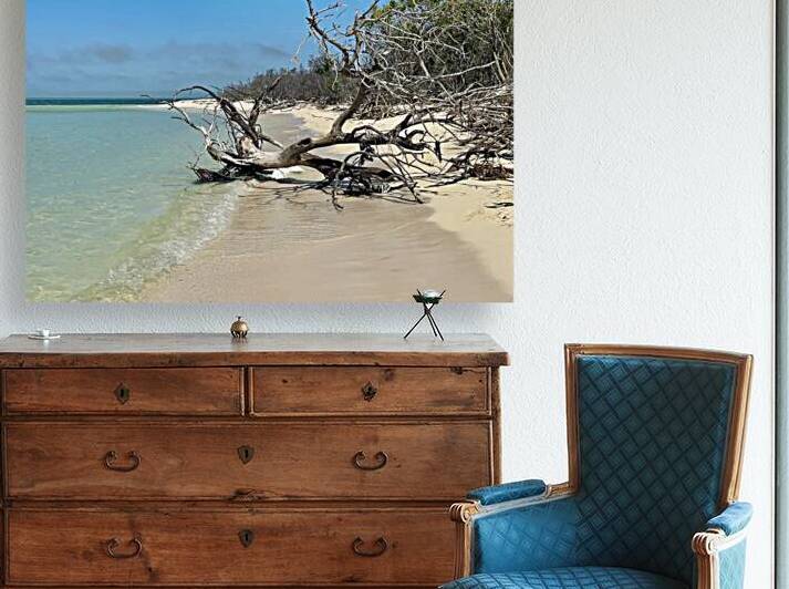 Boca Grande FL III Reproduction