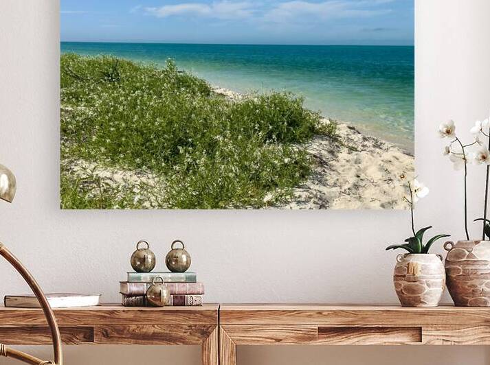 Boca Grande FL by JANIce