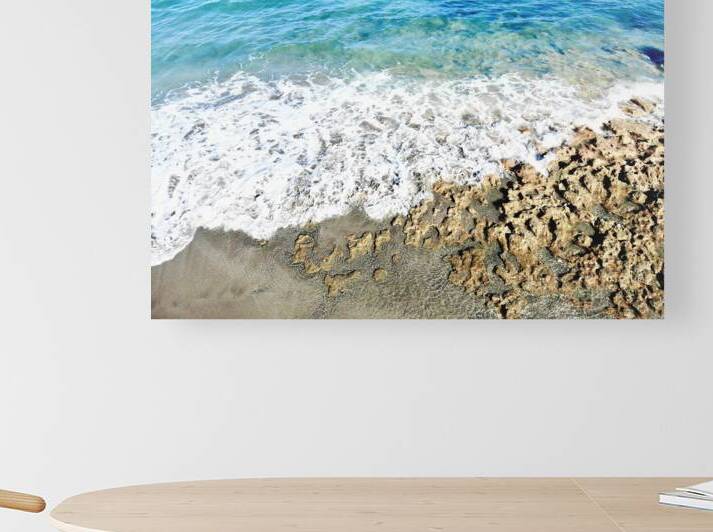 Coral Cove by JANIce