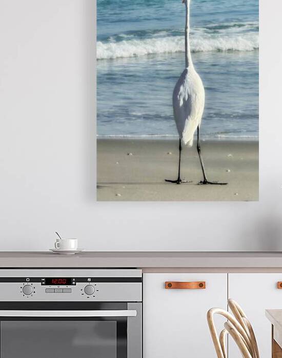 EGRET3a by JANIce