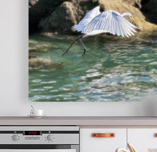 EGRET2 by JANIce