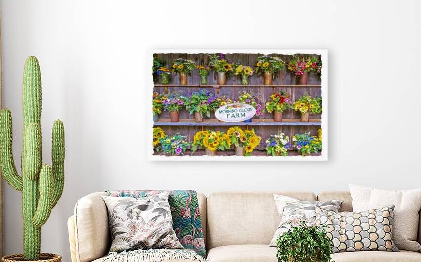 Morning Glory Farm by JANIce