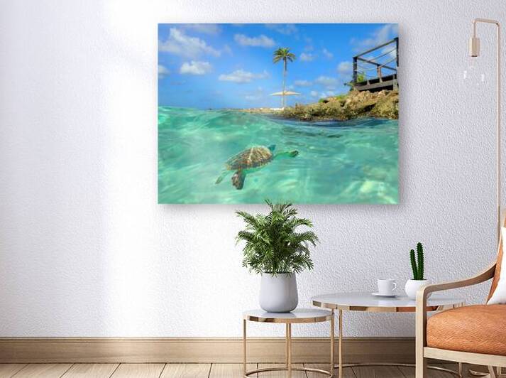 TurtleBay Reproduction