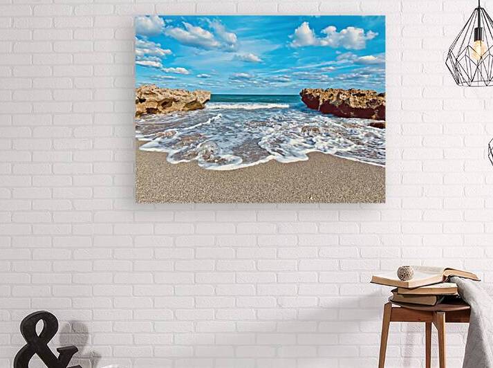 CoralCove1 Reproduction