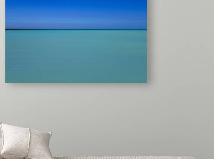 OceanVista Reproduction