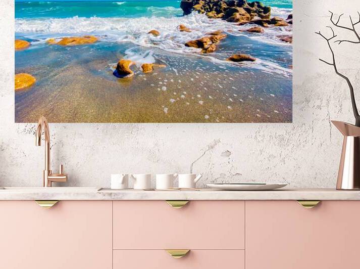 Coral Cove II by JANIce