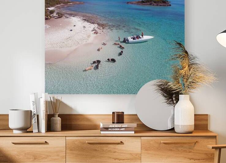 PigBeach Reproduction