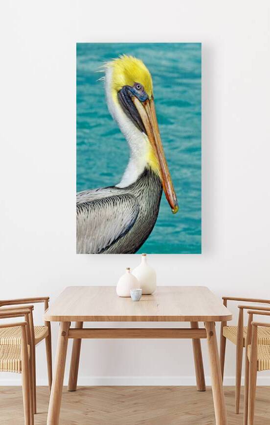 Pelican I Reproduction