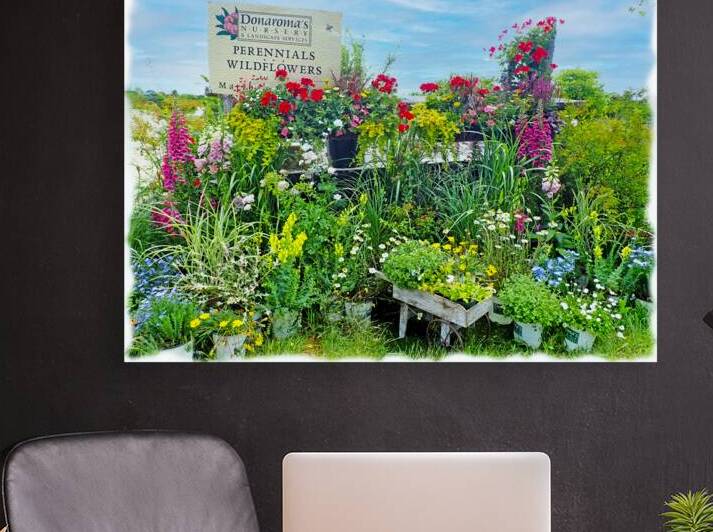 Katama Wild Flowers by JANIce