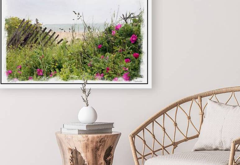 Nantucket Sea Grass Reproduction