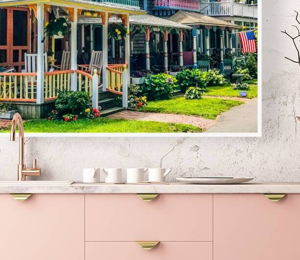 GingerHousesMV1 Reproduction