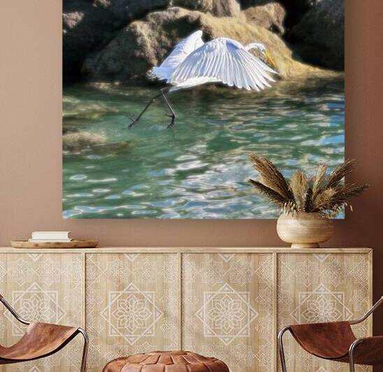 EGRET2 Reproduction