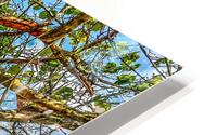 Beach Access  57 HD Metal print