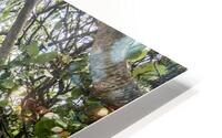 Beach Access   18 HD Metal print