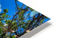 Beach Access   60 HD Metal print