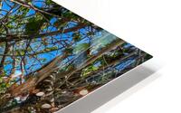 Beach Access   55 HD Metal print