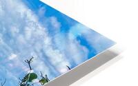 Beach Access   61 HD Metal print