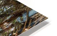 Beach Access   41 HD Metal print