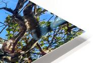 Beach Access   36 HD Metal print