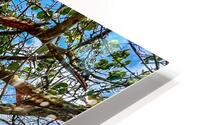 Beach Access   57 HD Metal print