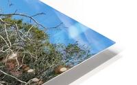 Boca Grande FL III HD Metal print