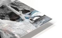 Drift Wood HD Metal print