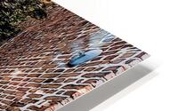 Charleston 39 HD Metal print