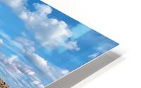 IMG 1690 HD Metal print
